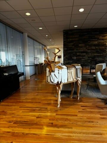 ICELANDAIR HERAD HOTEL EGILSTADIR – vue 4