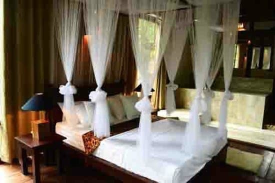 HOTEL LOGIS ROSTUNE (WAS CLIO) – vue 2