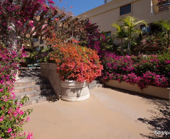 BEST WESTERN SUNSET PLAZA HOTEL LOS ANGELES – vue 4