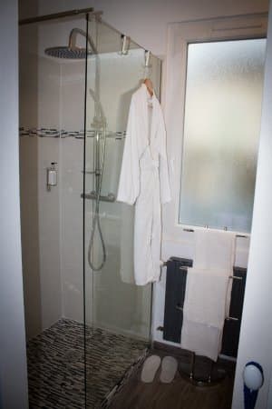 LES LOGES DU PARC HOTEL LA ROCHE POSAY – vue 4