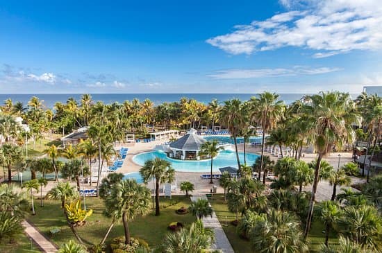 Hôtel Hôtel Sol Palmeras 4*