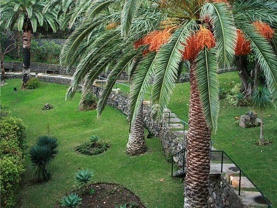 DOM PEDRO BAIA CLUB HOTEL MADEIRA – vue 2