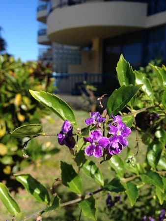 HOTEL CORALIA CLUB PLAYA DE ORO – vue 2