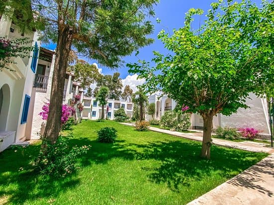 Hotel Club Muskebi 3* – vue 5