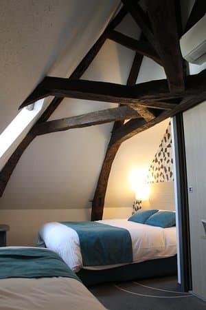 LE BLASON HOTEL AMBOISE – vue 3