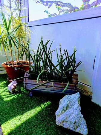 FASTHOTEL PERPIGNAN – vue 3