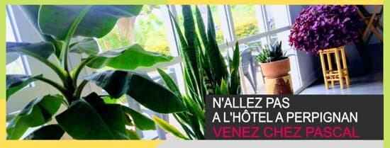 FASTHOTEL PERPIGNAN – vue 2