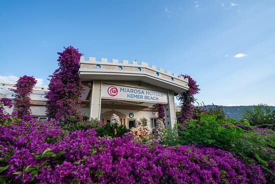 Hotel Akman Beach 3* – vue 3