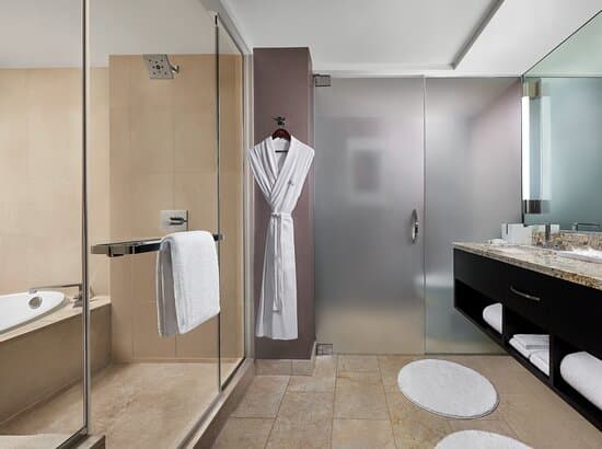 MGM GRAND HOTEL LAS VEGAS – vue 5