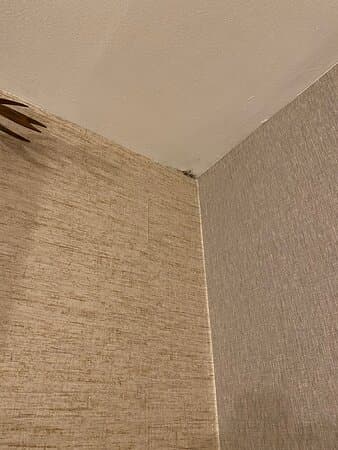 HOTEL SAINT CYR – vue 5