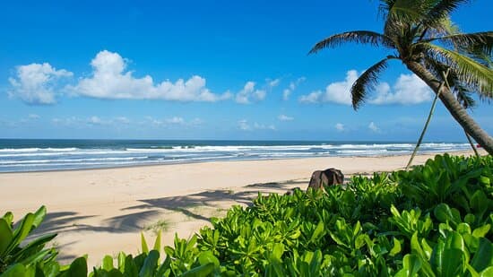 INDOCHINE HOTEL HOI AN – vue 2