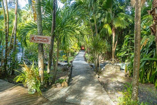 Hotel Caraibes Bonheur 4* – vue 5